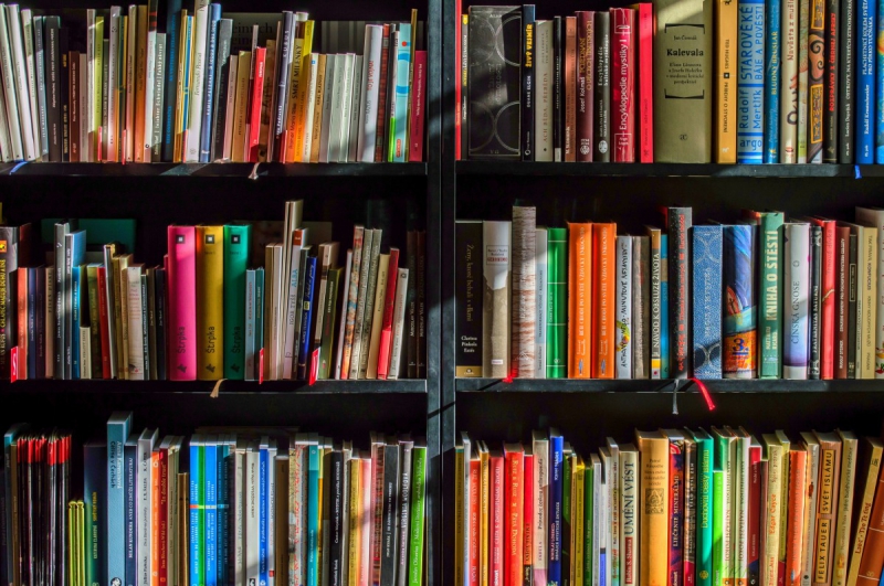 vente-GOURDON-min_books_bookstore_book_reading_shop_writer_sale_books_read-822866